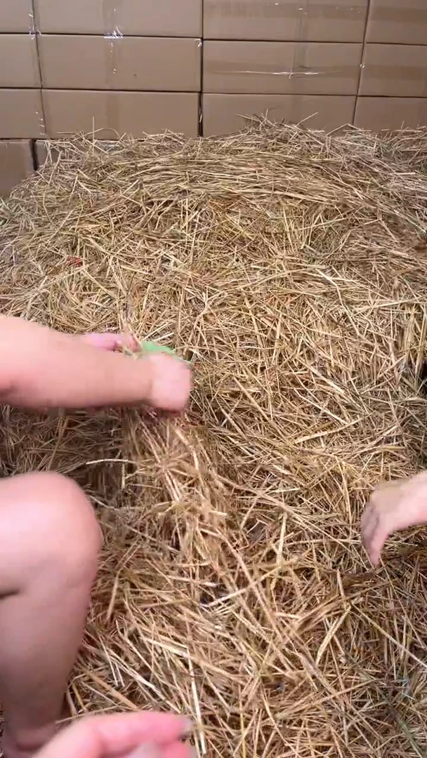 立秋甄选福利闪购商品无礼盒