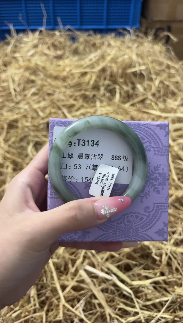 未镶嵌手镯石英质玉T3134