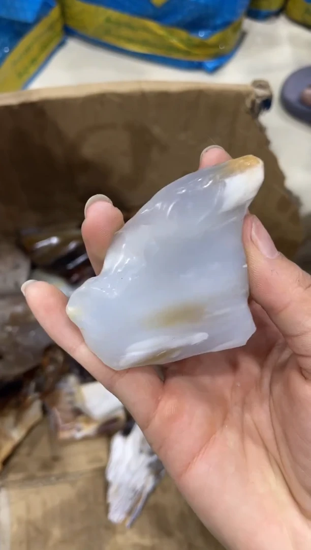 未镶嵌摆件硅化玉2