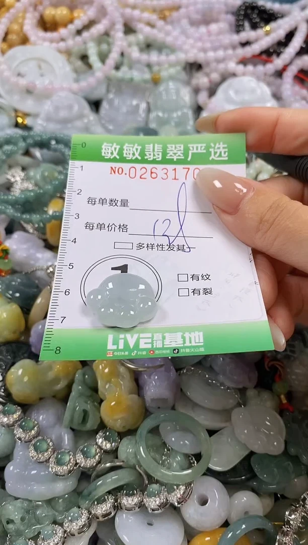 翡翠未镶嵌颈饰闪购0263170