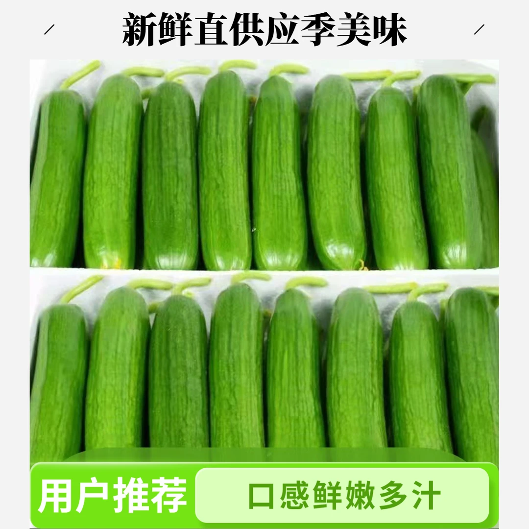 一整箱水果黄瓜新鲜现摘脆嫩爽口5/3/1斤装选无农残生吃凉拌包邮