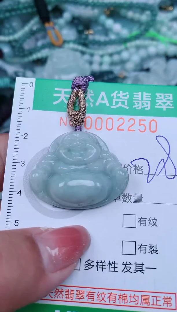 【闪购商品】翡翠颈饰未镶嵌.0002251