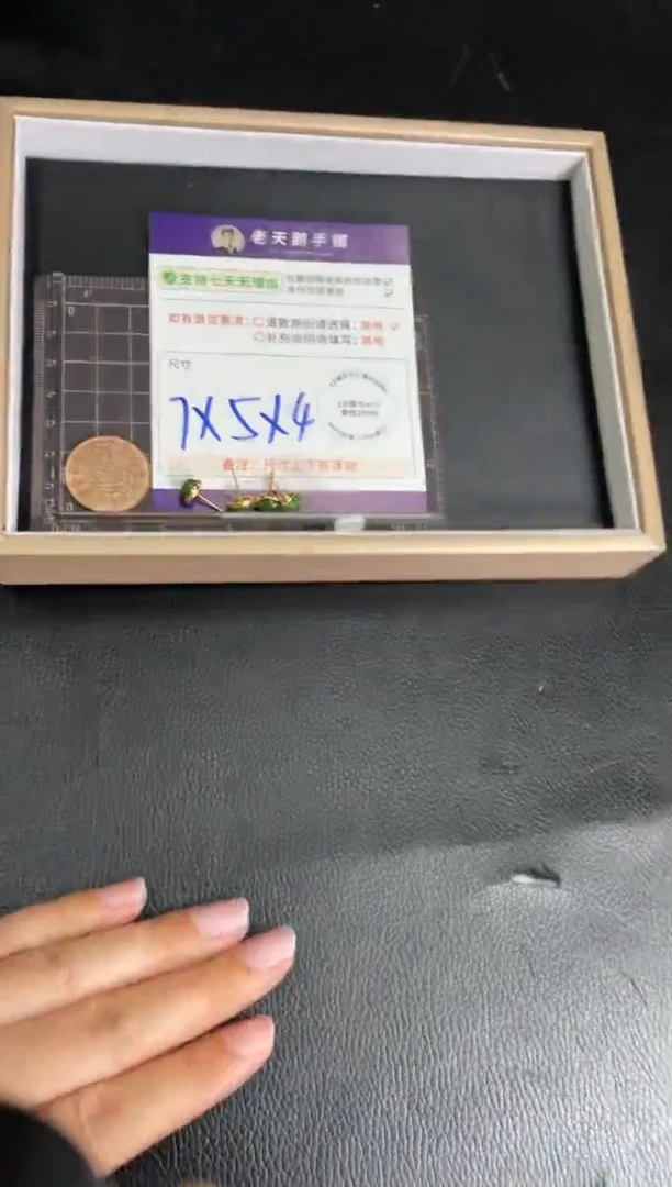 【闪购商品】和田玉挂件银S925镶嵌碧玉耳钉FL03/多样性发其一CP