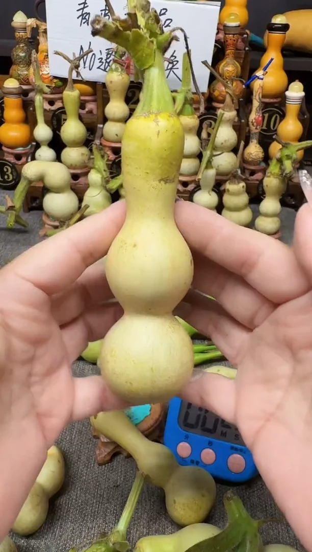 唐*高端葫芦高端客户