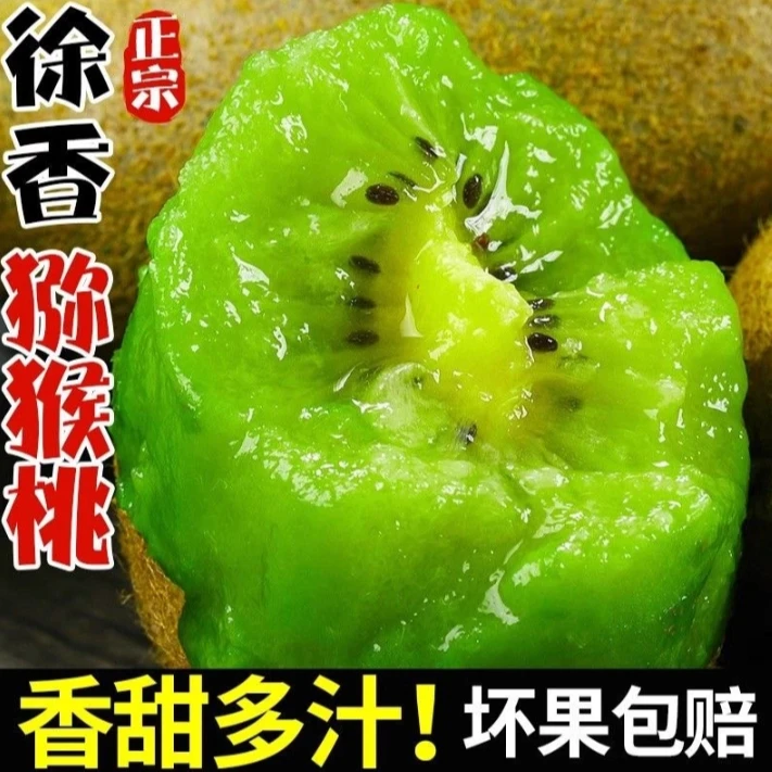 正宗徐香猕猴桃新鲜应季绿心奇异果坏果包赔(鲜果发货需放熟食用)