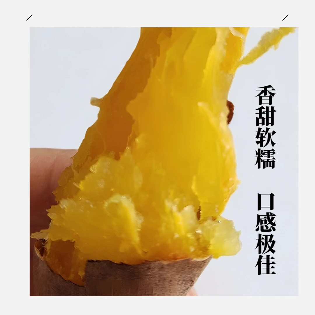 【坏果包赔】正宗真榴莲蜜薯5斤超甜蜜薯丝滑番薯产地直发烤地瓜