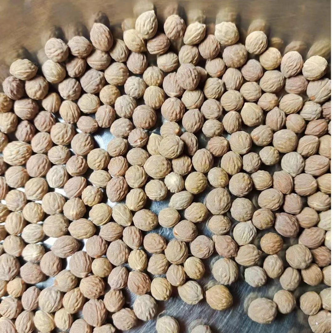 【酸枣核】东北野生磨盘酸枣酸枣核手串国产凤眼龙眼臻选野生酸枣