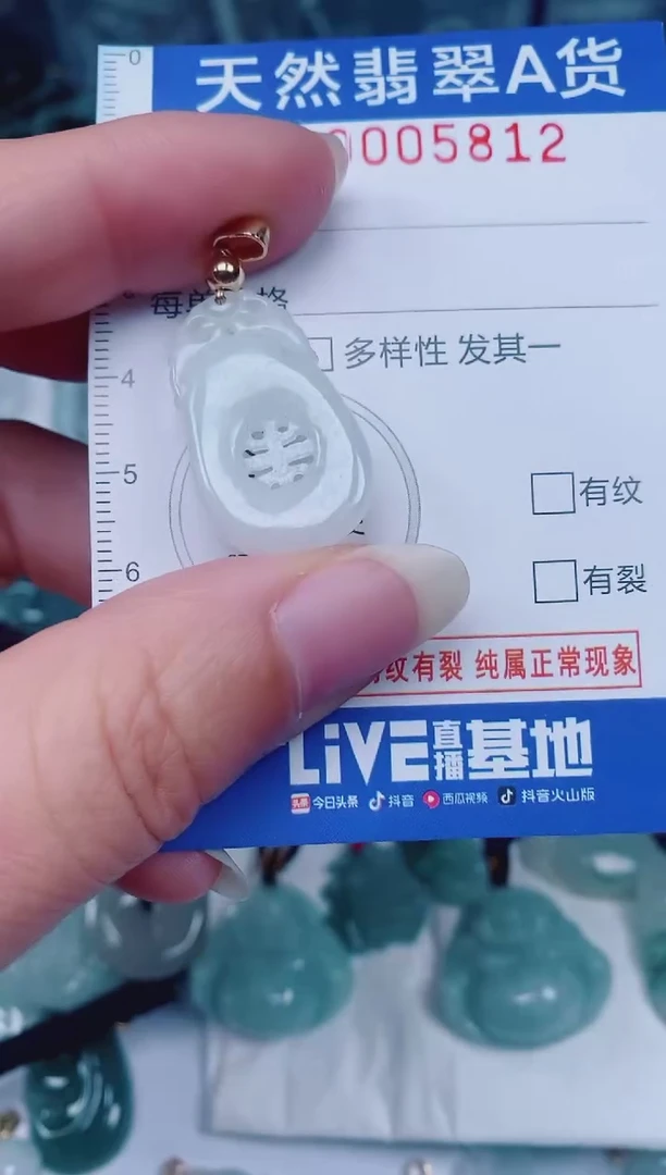颈饰未镶嵌翡翠00005812
