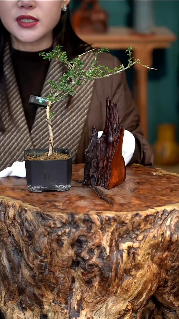 木雷击枣木半壁江山