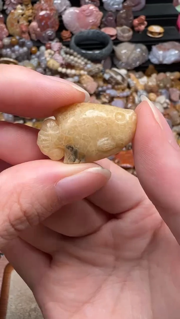 颈饰未镶嵌硅化珊瑚（珊瑚玉）473