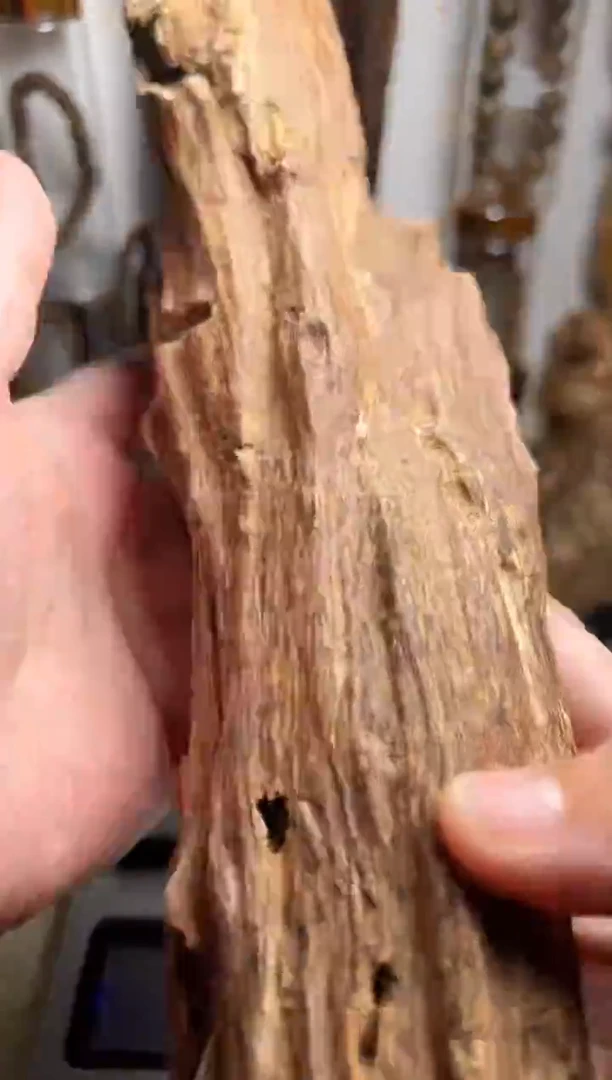 沉香沉香碎屑芽庄沉香土沉156克