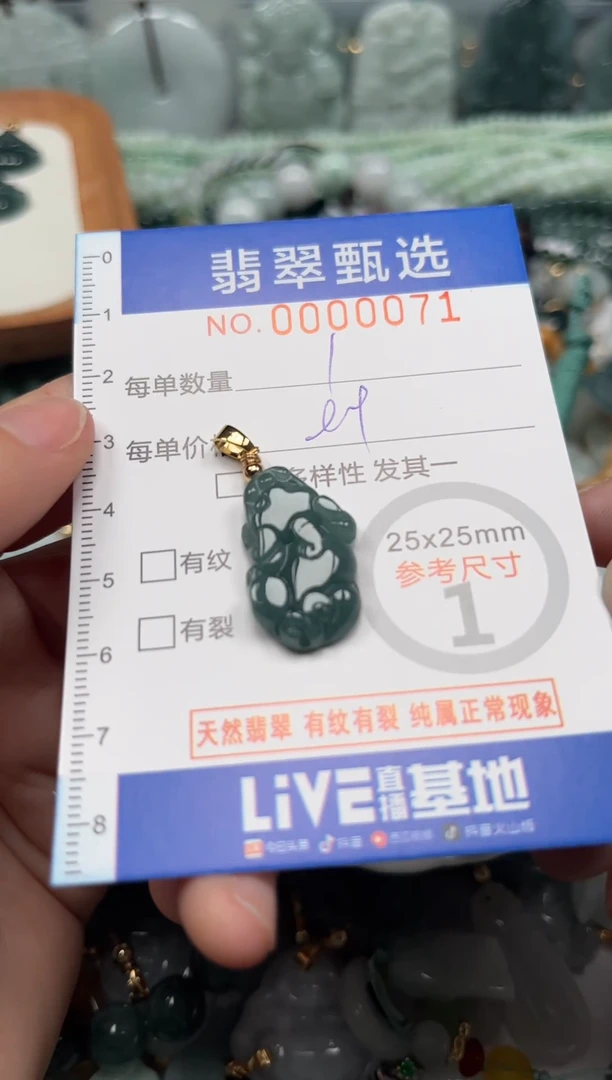 【闪购商品】翡翠颈饰未镶嵌00..0071