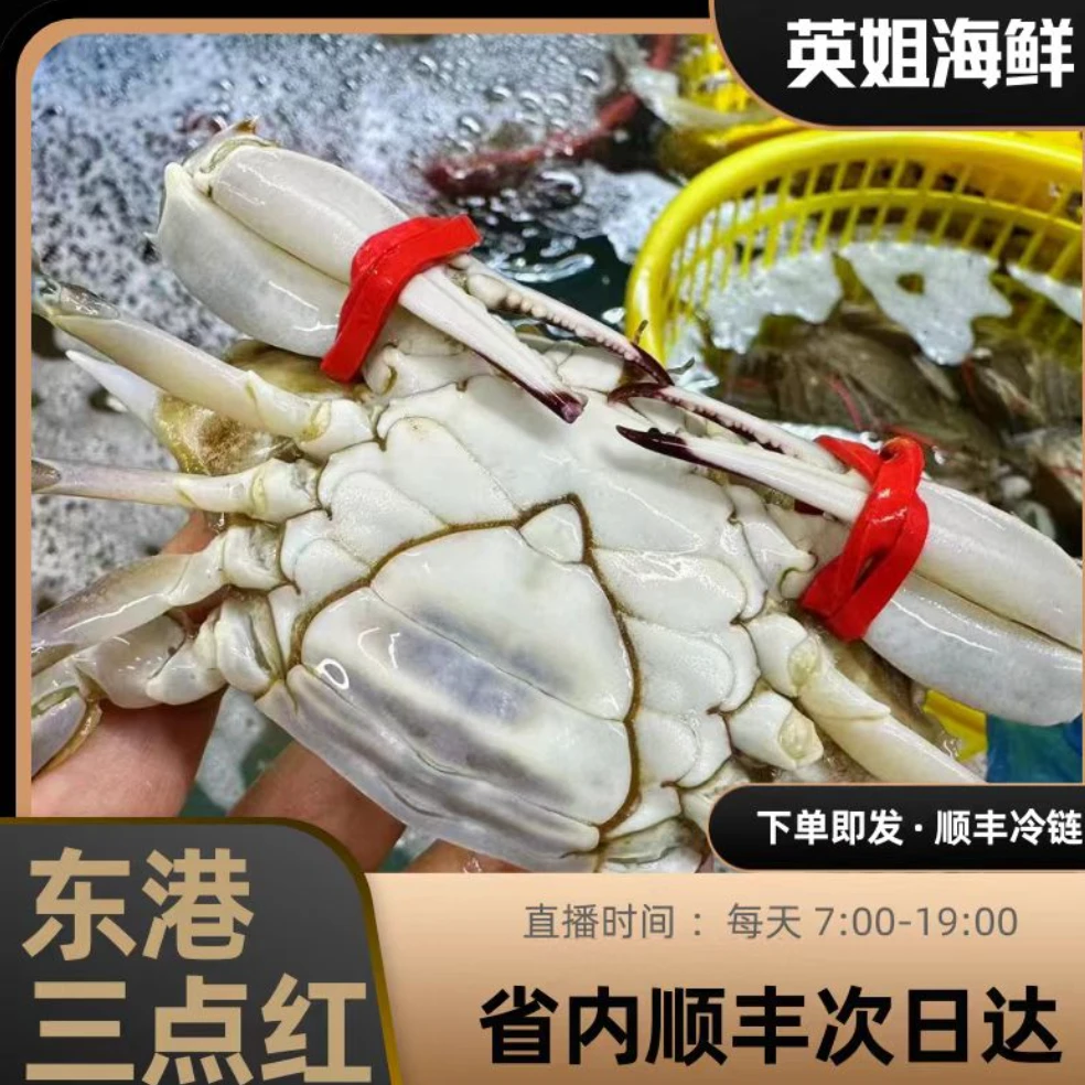 断氧三点红+虾爬3斤沈阳三环跑腿 蟹单只3两左右【保鲜不保活】