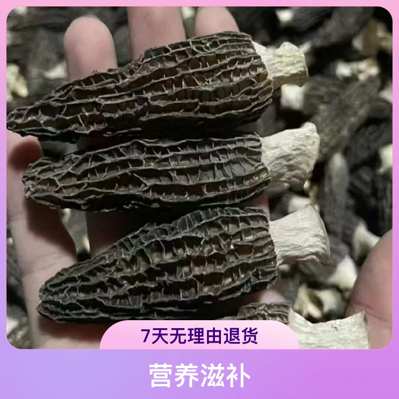 无品牌云南高山林下干羊肚菌（4～8）公分精品营养滋补炖汤佳品