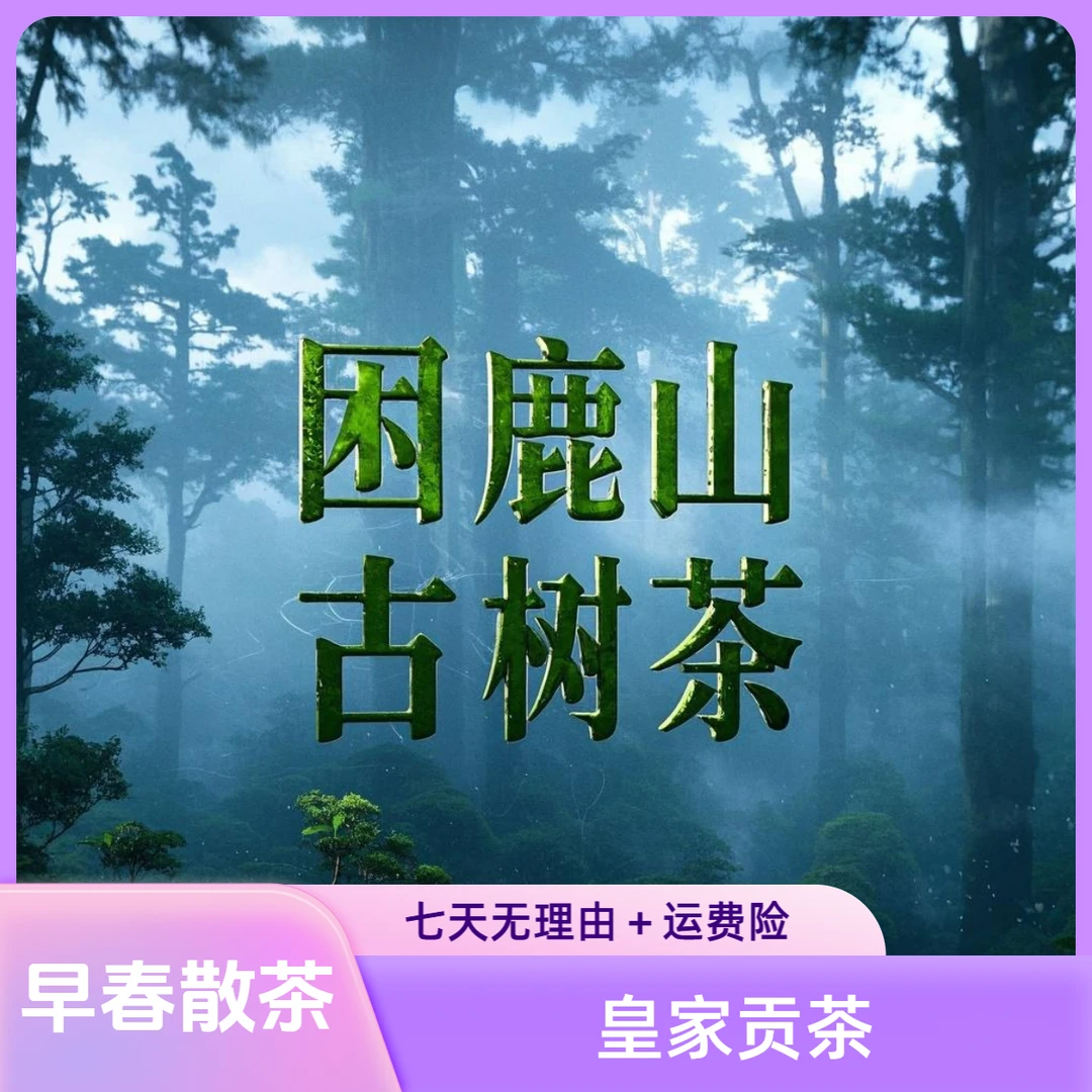 2025年 困鹿山【二叔细叶】散生茶（普洱茶区）