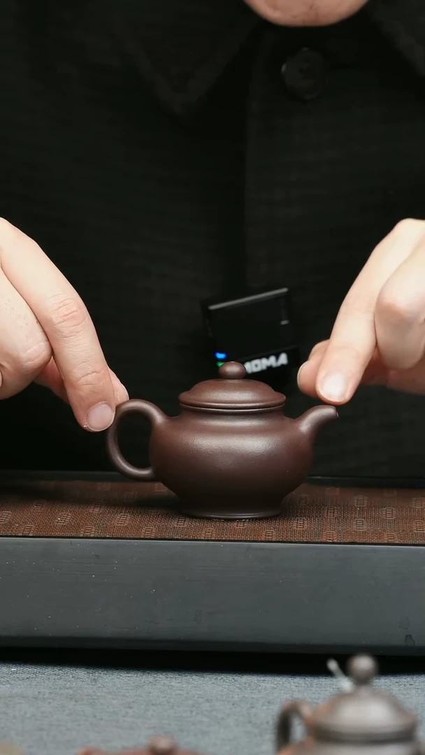 【闪购商品】紫砂茶壶五堂 掇只-许四海藏