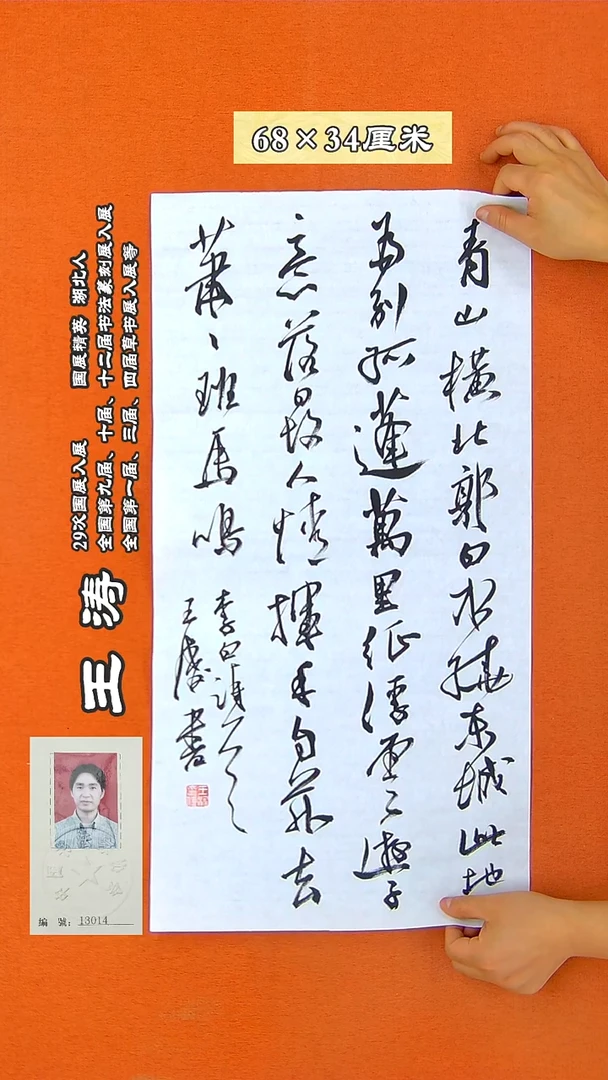 书法118D王涛书法作品