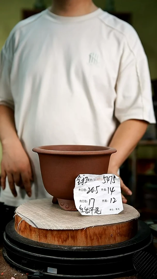 紫砂花盆花卉园艺5475