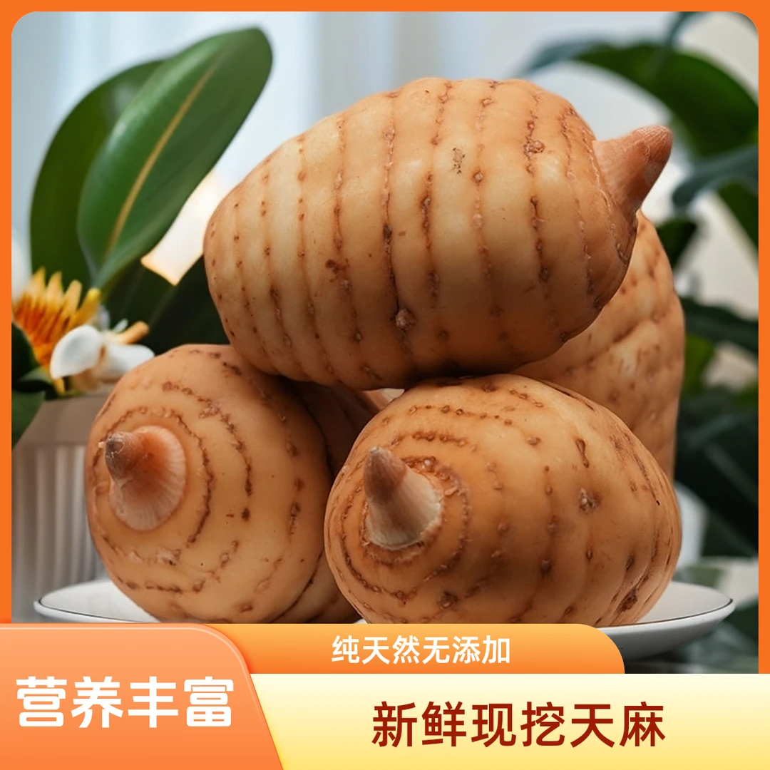 昭通小草坝新鲜野生云南天麻正宗野天麻上等天麻云南小草坝天麻