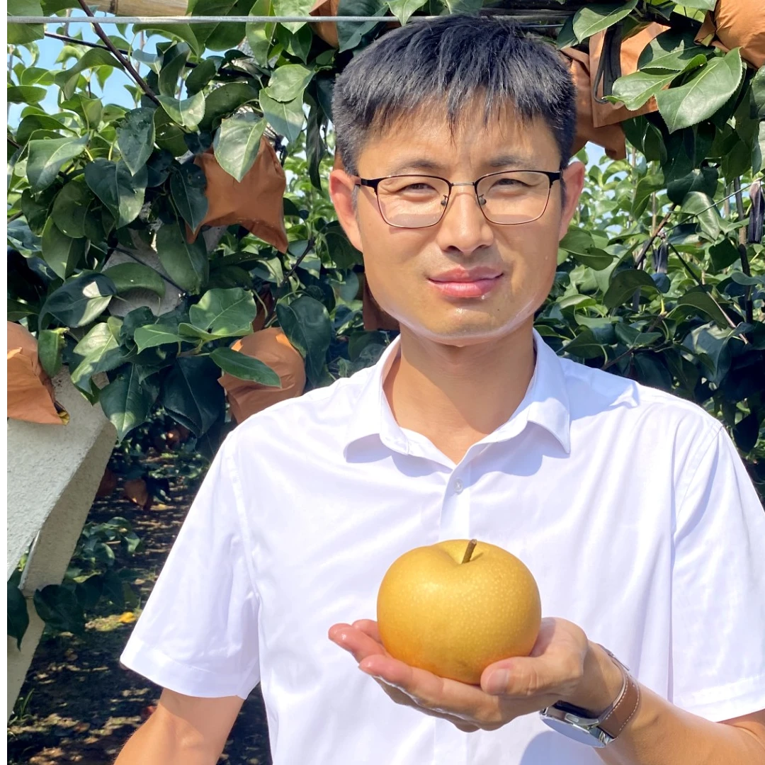 【张书助农】正宗山东烟台莱阳秋月梨产地直发新鲜现摘净重4.5斤