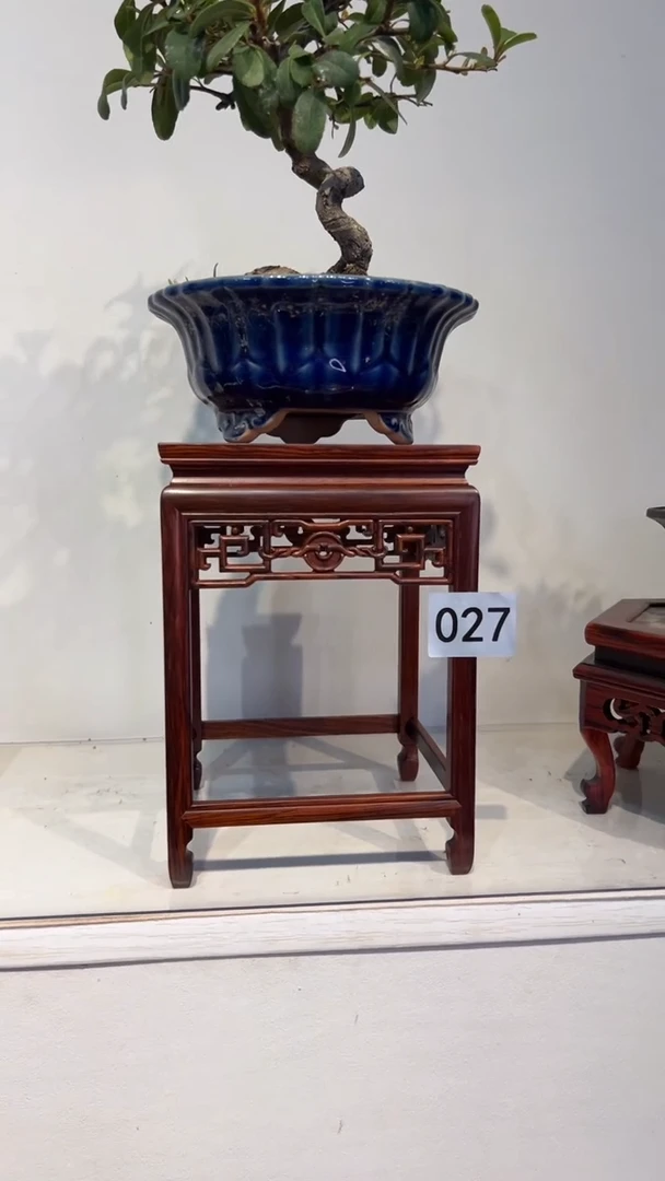 【闪购商品】紫砂1紫砂紫砂紫砂紫砂紫砂