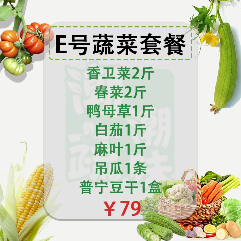 【E号时蔬套餐】潮汕新鲜农家蔬菜现摘现发/广东省内顺丰 京东包邮