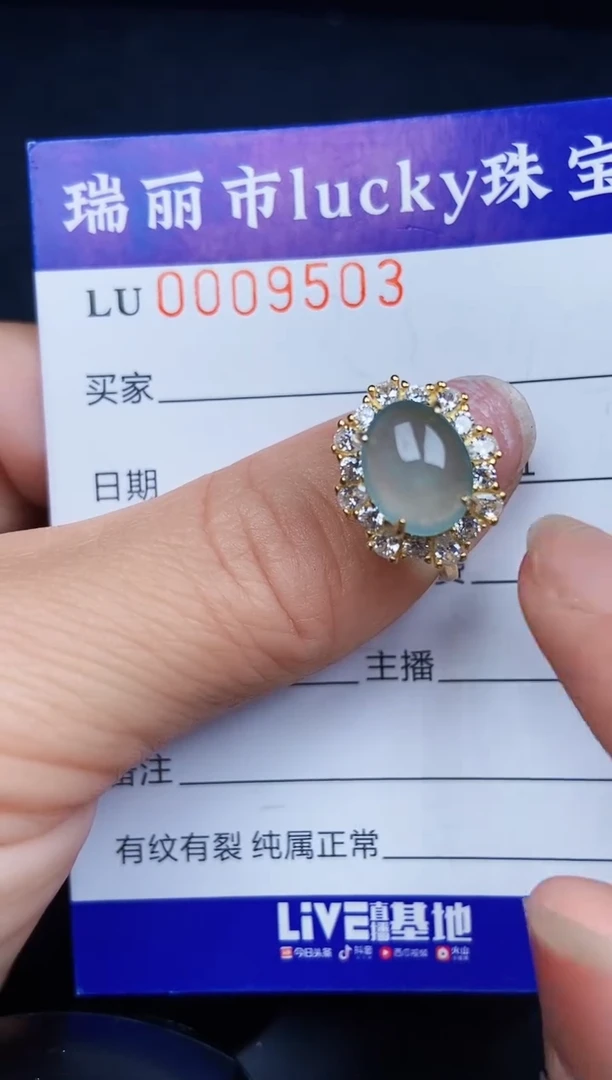 翡翠银S925镶嵌颈饰9503