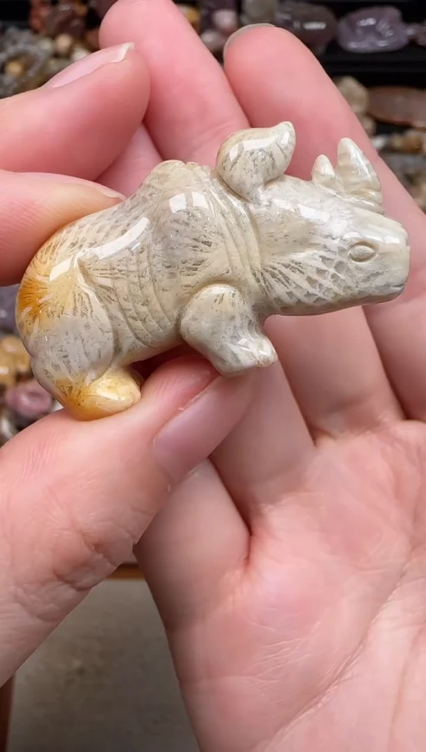 硅化珊瑚（珊瑚玉）未镶嵌颈饰234