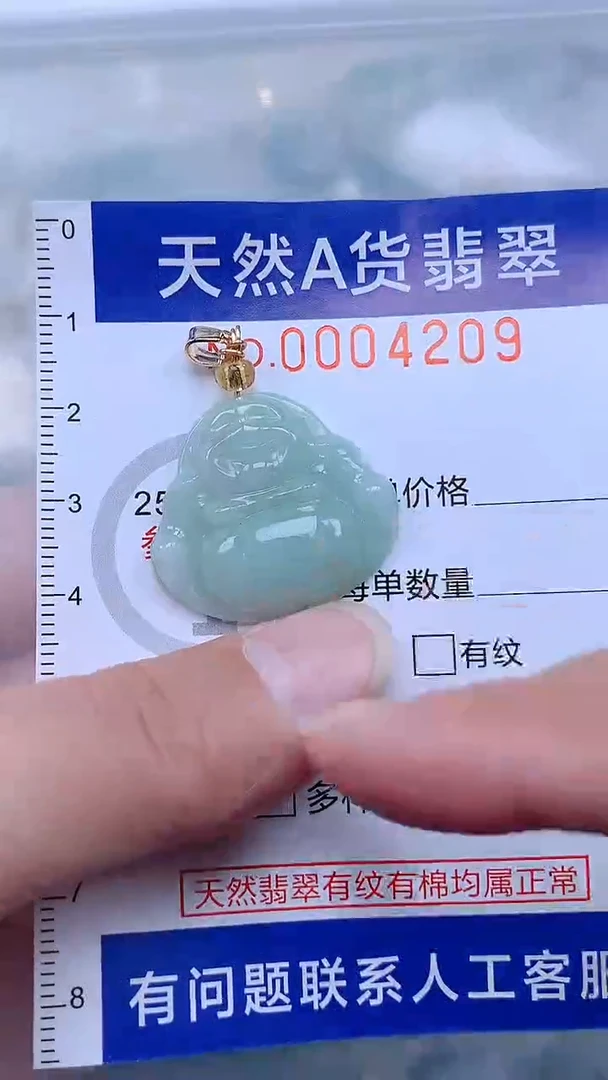 翡翠未镶嵌吊坠(不含链)1