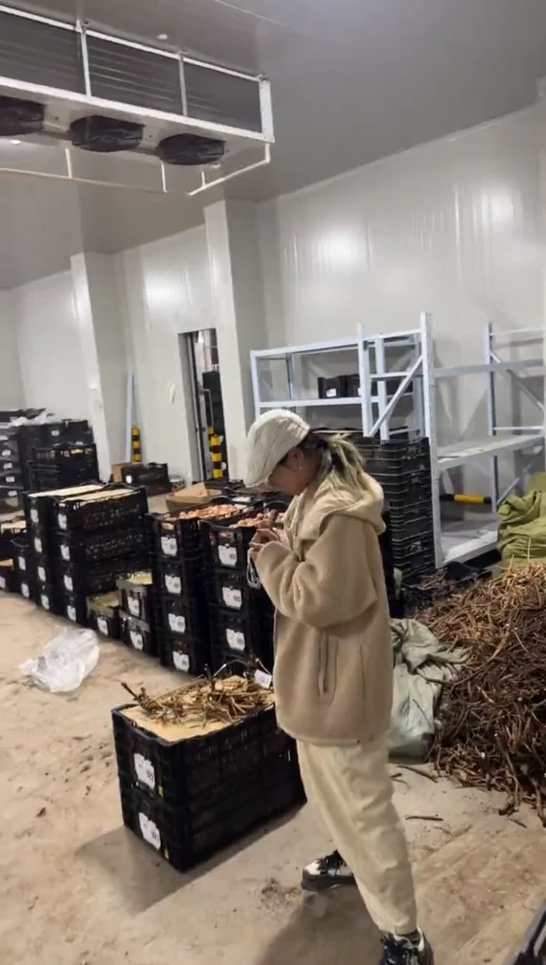 麥***者49.9  奥奇  麥田守望者