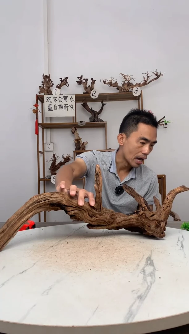 用****0鱼缸造景沉木摆件