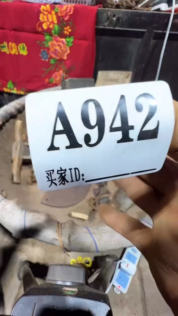 我***你0818老王直播间专属链接