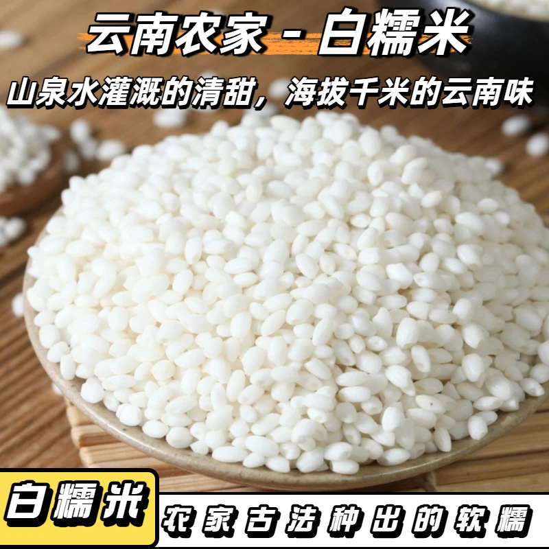 圆粒高原梯田白糯米2025年新米云南特产黏粘江米甜白酒包粽子蒸饭