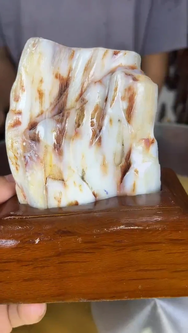硅化玉珠宝奇石未镶嵌缅甸天然树化玉