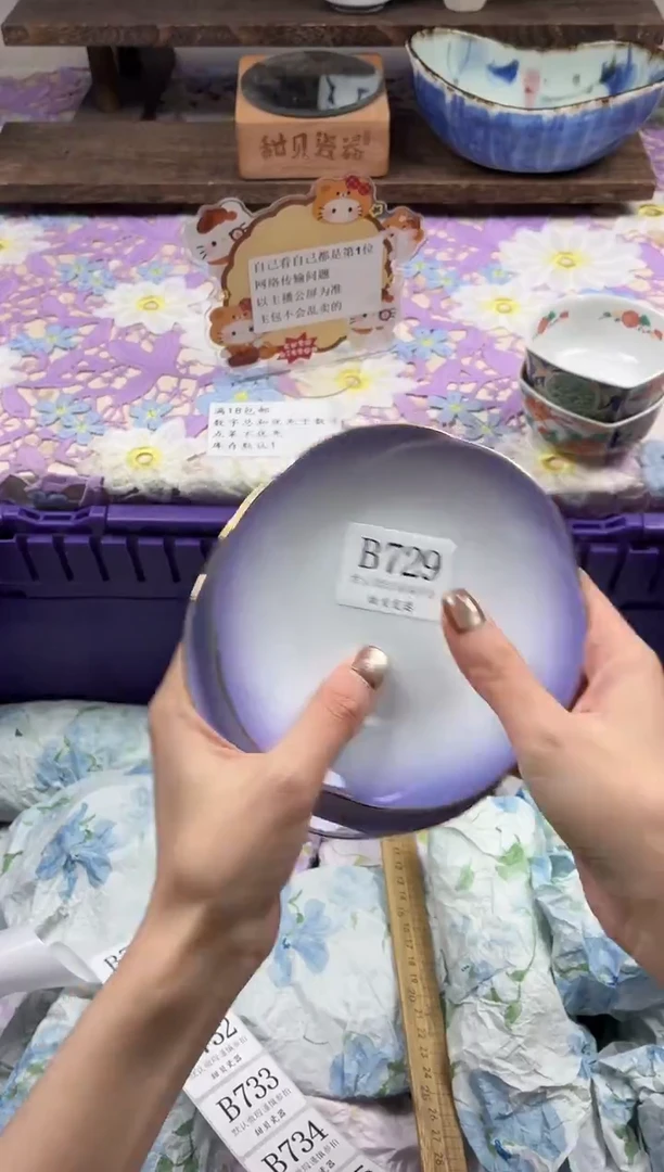 瓷片楽*                B729