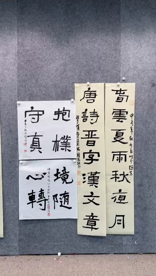 【闪购商品】书法pmw不二轩旗舰店书法ZYS7