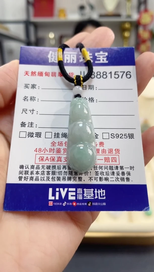 颈饰未镶嵌翡翠天然缅甸翡翠A货 富贵豆(一物一证)+银链