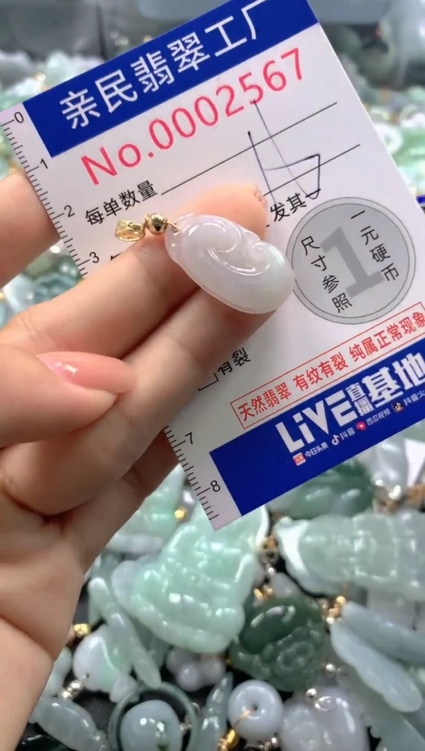 颈饰未镶嵌翡翠2567