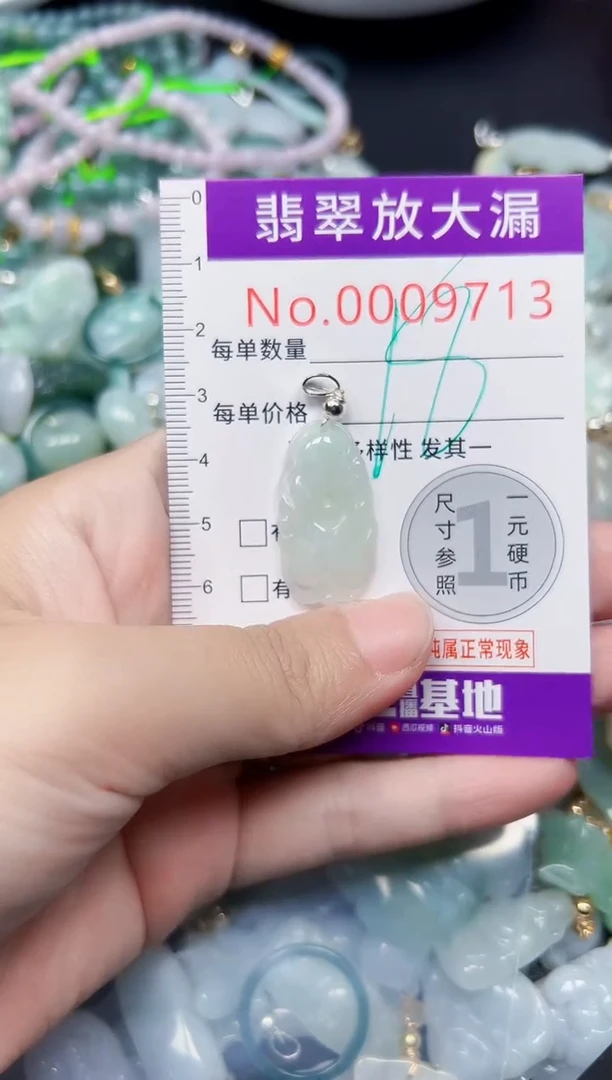 颈饰未镶嵌翡翠9713