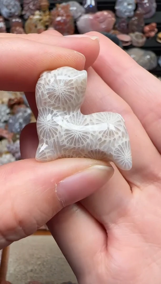 颈饰未镶嵌硅化珊瑚（珊瑚玉）116