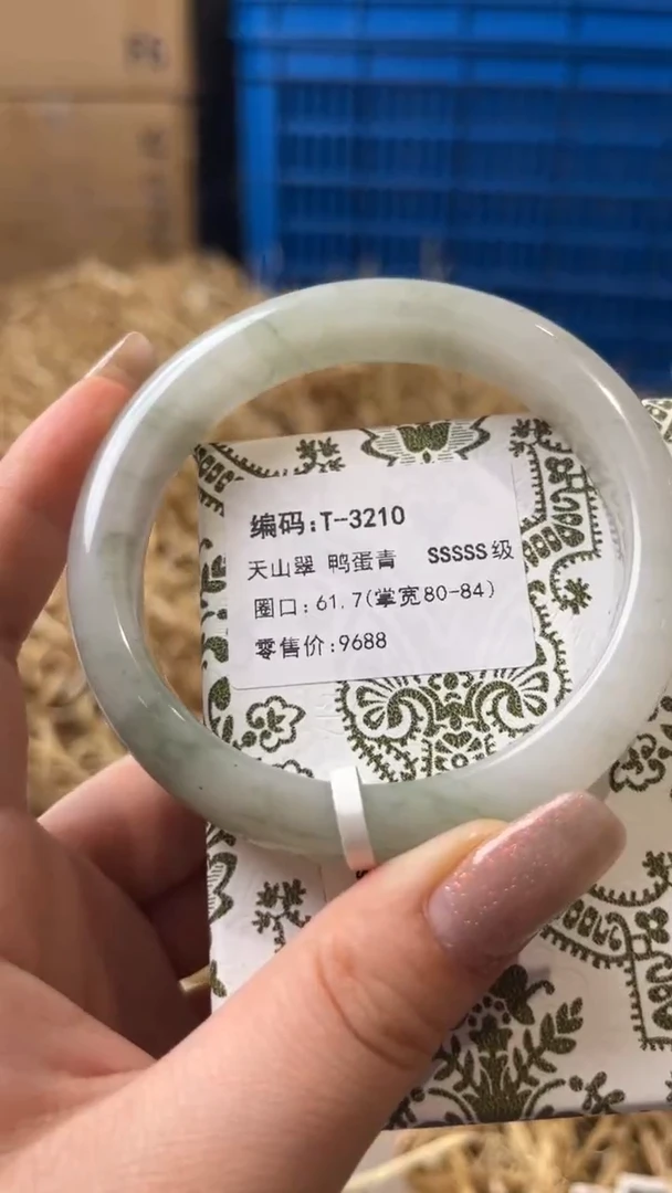 未镶嵌手镯石英质玉T-3210