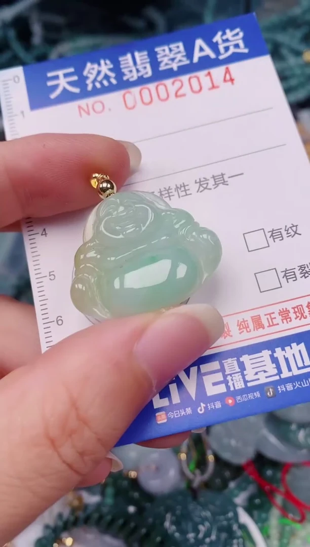 颈饰未镶嵌翡翠00002014