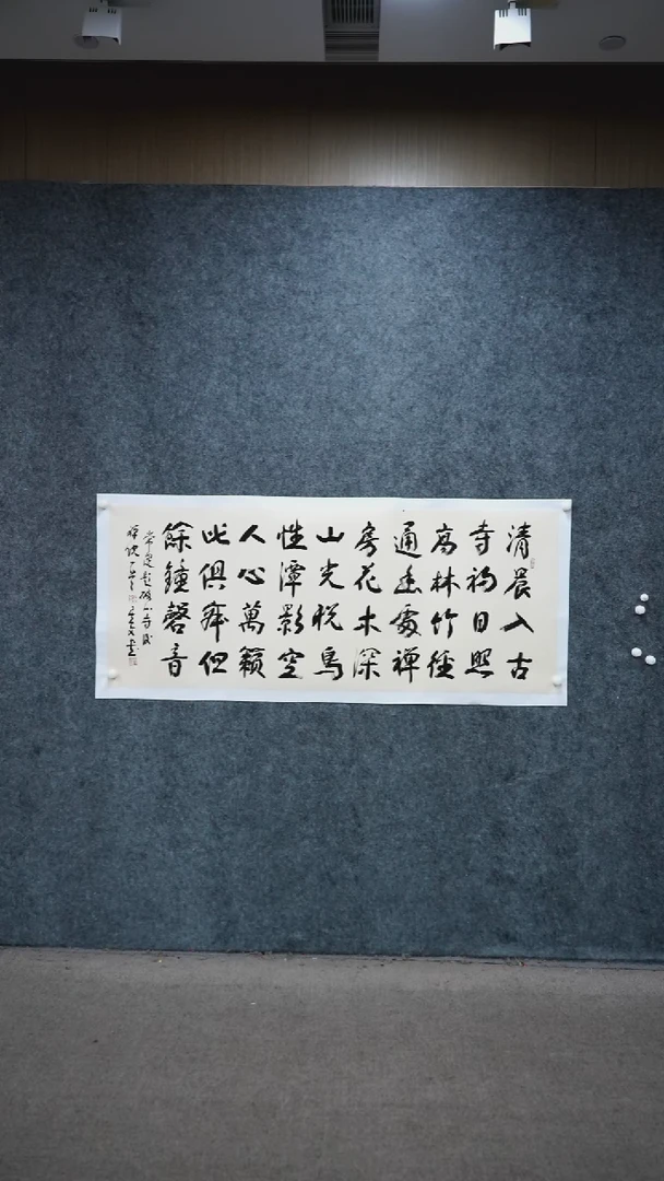 书法书法SXW老师书法作品