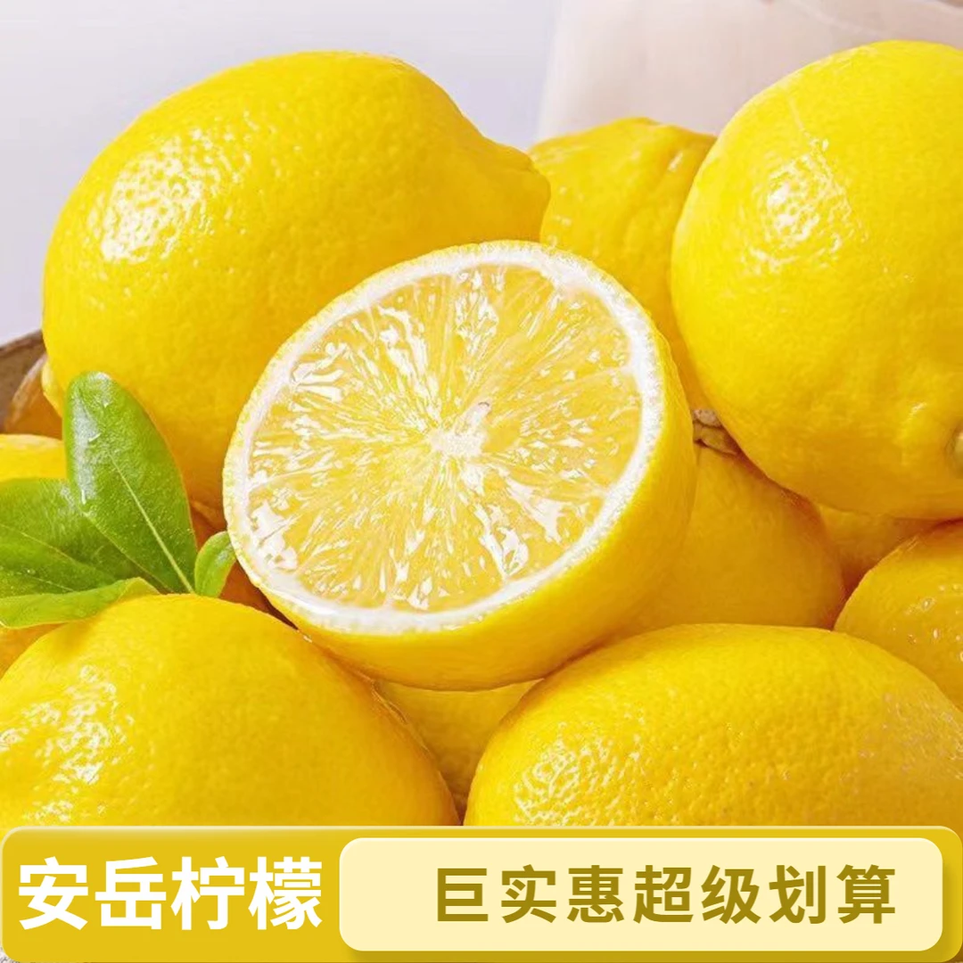 四川安岳黄柠檬新鲜当季现摘酸爽多汁果香浓郁切片直达产地直采