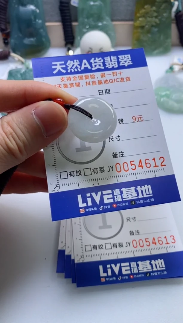 【闪购商品】翡翠挂件未镶嵌