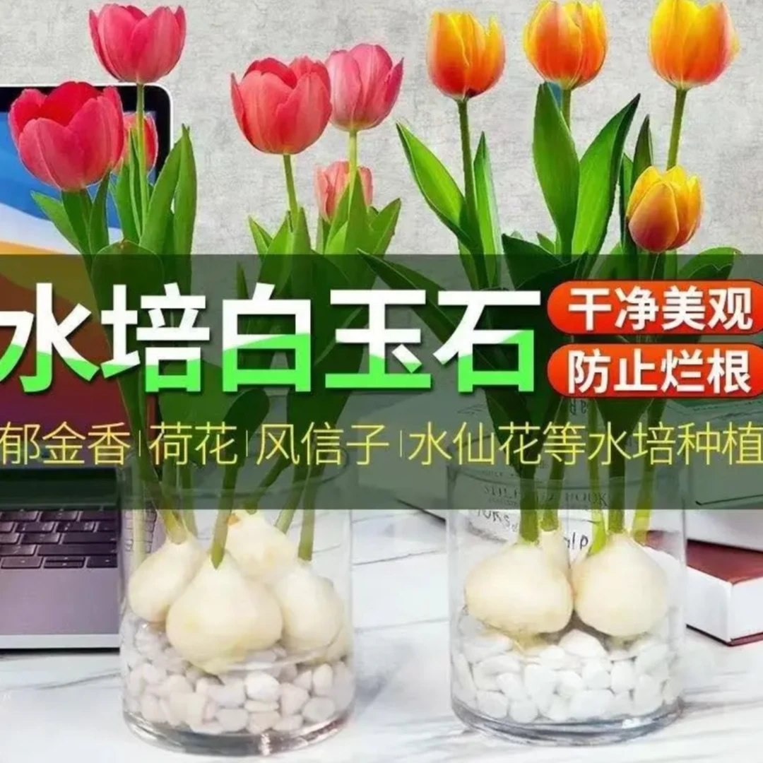 鹅暖石小石头郁金香水培石子养花多肉铺面石子