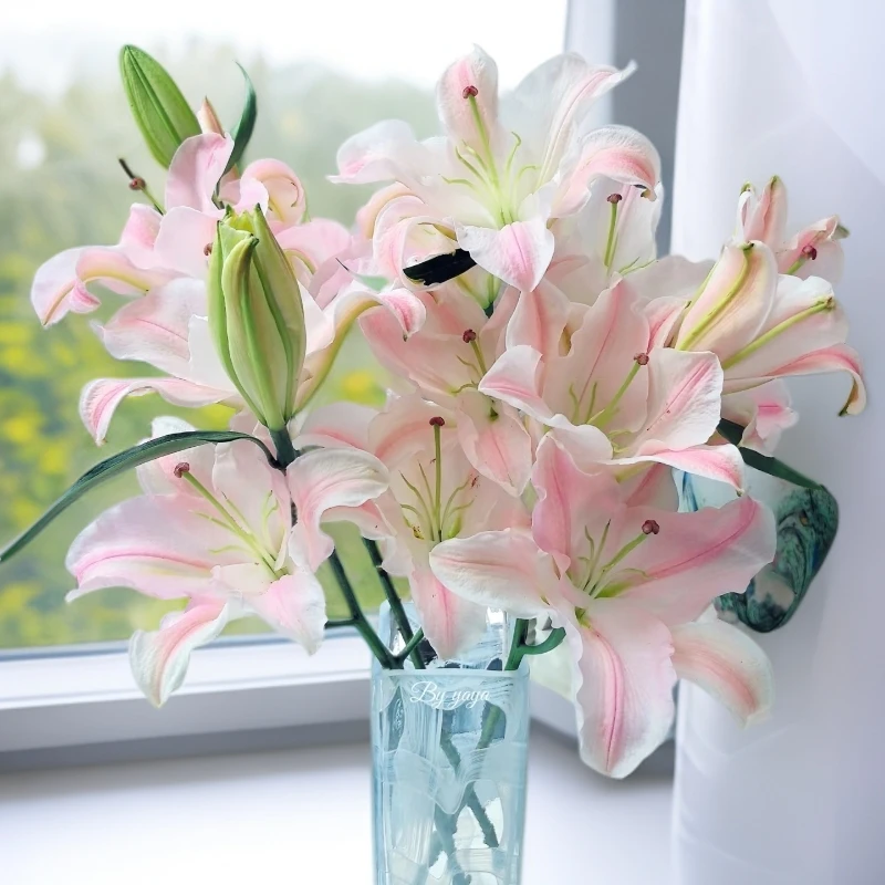 （粉天使）香水百合东北基地直发顺丰包邮水生鲜切花漂亮养护组合