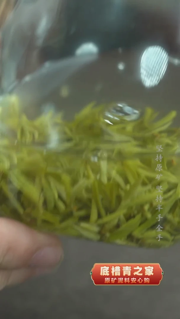 茶壶紫砂明前全芽碧螺春50克一两