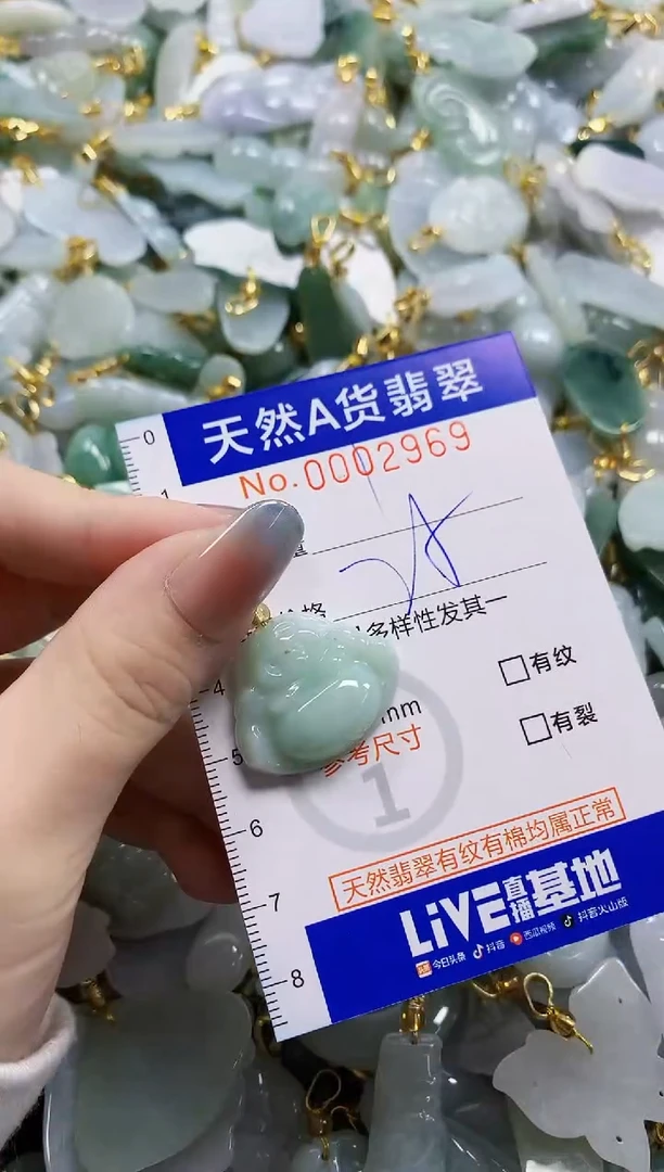 颈饰未镶嵌翡翠纯天然a货翡翠
