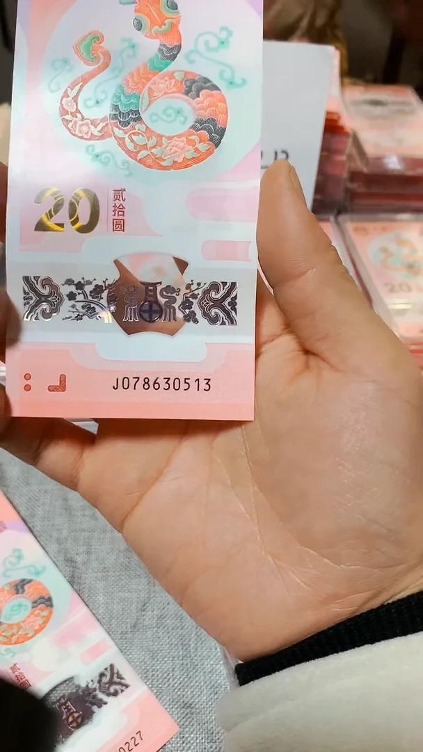 【闪购商品】塑料2024年龙年纪念品单张